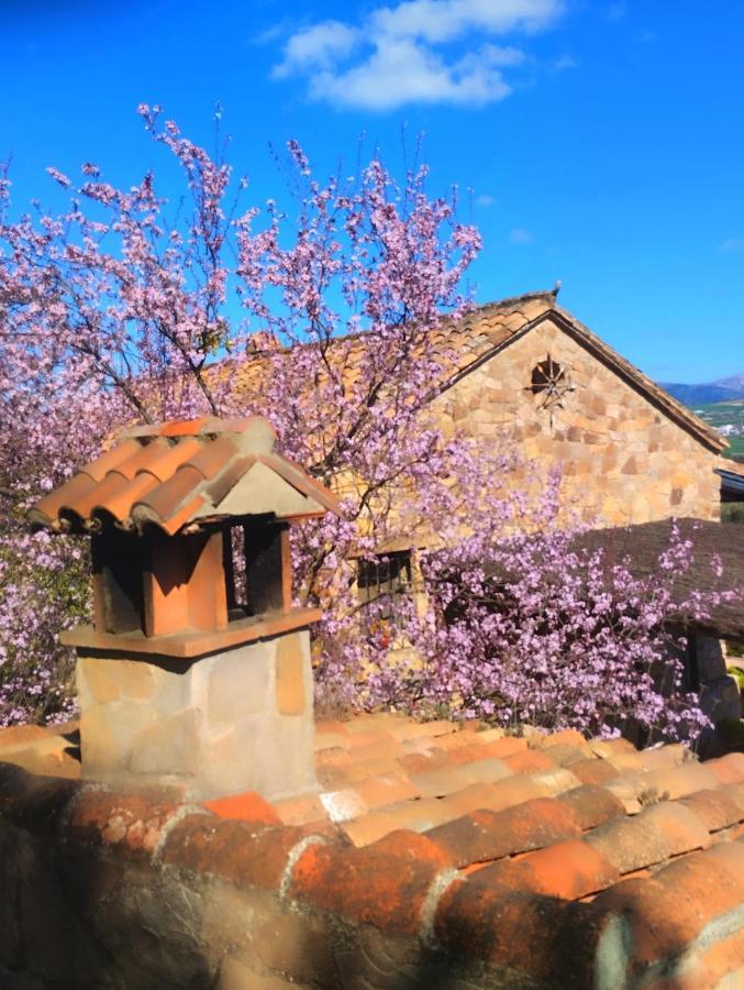 La Casita De Piedra Guest House Ronda Exterior photo